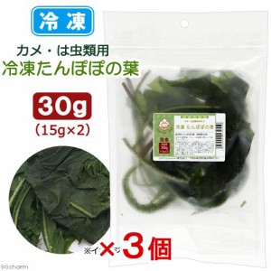 冷凍★冷凍国産たんぽぽの葉　３０ｇ（１５ｇ×２）×３個セット　陸ガメ　爬虫類　別途クール手数料　常温商品同梱不可