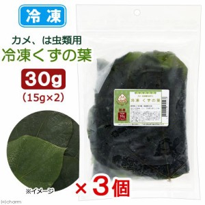 冷凍★冷凍国産くずの葉　３０ｇ（１５ｇ×２）×３個セット　陸ガメ　爬虫類　別途クール手数料　常温商品同梱不可