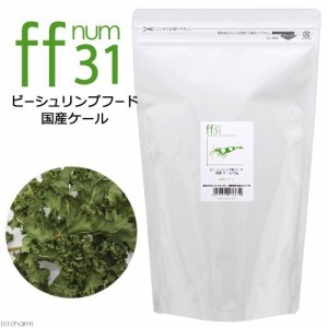 ビーシュリンプ用フード　国産乾燥ケール　「ｆｆ　ｎｕｍ３１」　１０ｇ　ａｑｕａｒｉｕｍ　ｆｉｓｈ　ｆｏｏｄ　ｓｅｒｉｅｓ