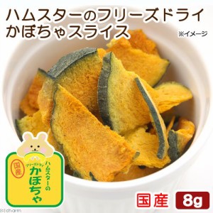 ハムスター　おやつ　国産　ハムスターのフリーズドライ　かぼちゃスライス　８ｇ　プチサイズ　無添加　無着色 (ハムスター 餌)