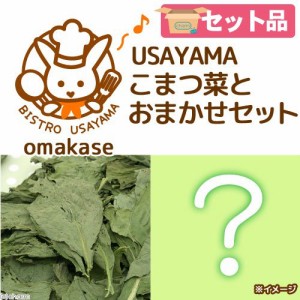 ＵＳＡＹＡＭＡ　こまつ菜とおまかせセット　小動物用 (ハムスター)