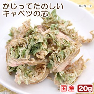 国産　かじってたのしい　キャベツの芯　２０ｇ　小動物用のおやつ　無添加　無着色　かじり木　うさぎ (ハムスター 餌)