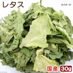 国産　レタス　３０ｇ　小動物用のおやつ　無添加　無着色 (ハムスター 餌)