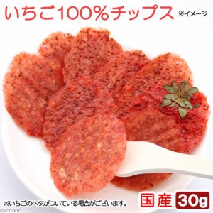 国産　いちご１００％チップス　３０ｇ　小動物のおやつ　無添加　無着色 (ハムスター 餌)