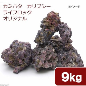 カミハタ　カリブシー　ライフロックオリジナル　９．０ｋｇ　人工ライブロック