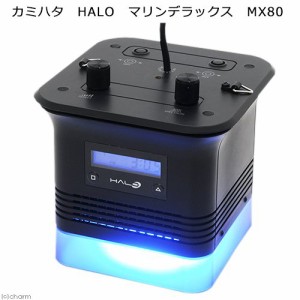 カミハタ　ＨＡＬＯ　マリンデラックス　ＭＸ８０