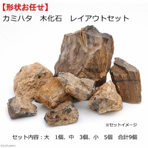 カミハタ　木化石　レイアウトセット　４５〜７５ｃｍ水槽向け　形状お任せ