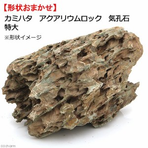 カミハタ　アクアリウムロック　気孔石　特大