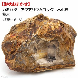 カミハタ　アクアリウムロック　木化石　特大