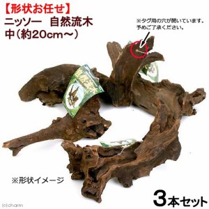 形状お任せ　自然流木　中（約２０ｃｍ〜）　３本セット