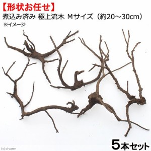 形状お任せ　煮込み済み　極上流木　Ｍサイズ（約２０〜３０ｃｍ）５本　アクアリウム　テラリウム　レイアウト素材