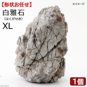 形状お任せ　白雅石　ＸＬサイズ（約２５ｃｍ〜）　１個　アクアリウム　レイアウト素材