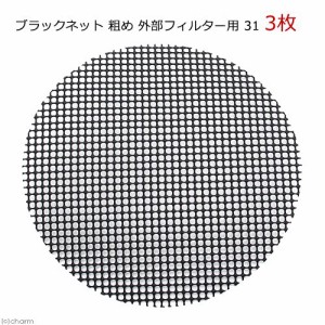 ブラックネット　粗め　外部フィルター用　３１　３枚