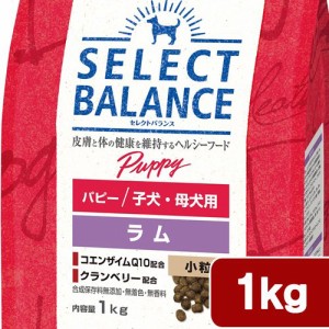 　セレクトバランス　パピー　ラム小粒　子犬・母犬用　１ｋｇ ドッグフード