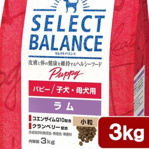 　セレクトバランス　パピー　ラム小粒　子犬・母犬用　３ｋｇ ドッグフード