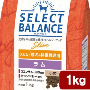 　セレクトバランス　スリム　ラム小粒　成犬の体重管理用　１ｋｇ ドッグフード