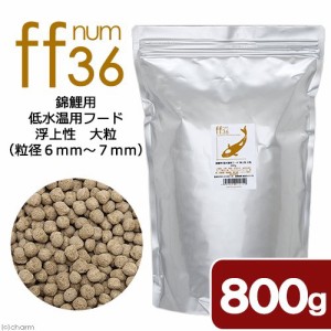 錦鯉用　低水温用フード　浮上性　大粒　「ｆｆ　ｎｕｍ３６」　８００ｇ　ａｑｕａｒｉｕｍ　ｆｉｓｈ　ｆｏｏｄ　ｓｅｒｉｅｓ