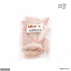 冷凍★Ｌ（１０匹）×５　カタ養殖　冷凍ピンクマウス　パック　冷凍マウス　別途クール手数料　常温商品同梱不可