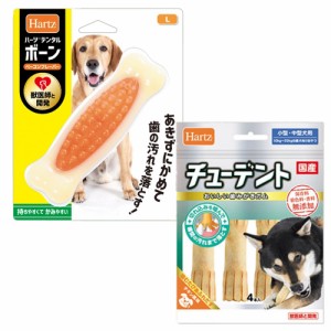 ハーツ　デンタル　ボーン　Ｌサイズ　獣医師との共同開発　犬　おもちゃ　オモチャ　玩具＋チューデント　小型〜中型犬用　４本