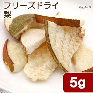 国産　フリーズドライ　梨　５ｇ　小動物のおやつ　無添加　無着色 (ハムスター 餌)