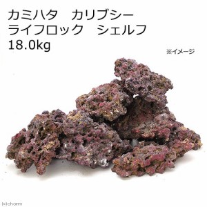 カリブシー　ライブロックレプリカ　ライフロックシェルフ　１８．０ｋｇ　バクテリア付き