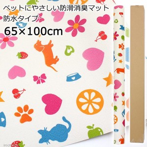 切売　ペットにやさしい防滑消臭マット　防水タイプ　６５×１００ｃｍ　レッド　ＩＮＳＦ−０９　１ｍ