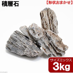 形状お任せ　積層石　サイズミックス　３ｋｇ　３０ｃｍ水槽向け　アクアリウム　レイアウト素材