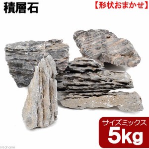 形状お任せ　積層石　サイズミックス　５ｋｇ　４５ｃｍ水槽向け　アクアリウム　レイアウト素材