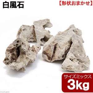 形状お任せ　白風石　サイズミックス　３ｋｇ　３０ｃｍ水槽向け　アクアリウム　レイアウト素材