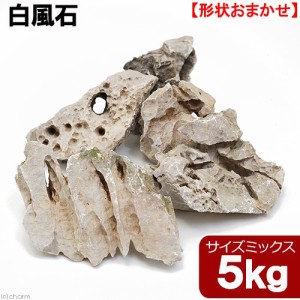 形状お任せ　白風石　サイズミックス　５ｋｇ　４５ｃｍ水槽向け　アクアリウム　レイアウト素材