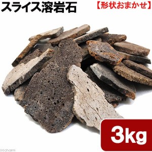 形状お任せ　スライス溶岩石　サイズミックス　３ｋｇ　３０ｃｍ水槽向け　アクアリウム　レイアウト素材