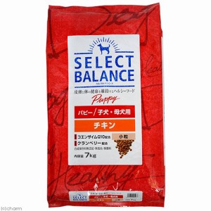 　セレクトバランス　パピー　チキン小粒　子犬・母犬用　７ｋｇ ドッグフード