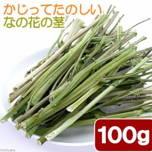 国産　かじってたのしい　なの花の茎　１００ｇ　お徳用　小動物のおやつ　無添加　無着色　かじり木　うさぎ (ハムスター 餌)