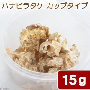 国産　ハナビラタケ　天然サプリメント　カップタイプ　１５ｇ　小動物用 (ハムスター)