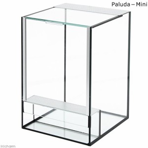 Ｐａｌｕｄａ−Ｍｉｎｉ　パルダ　ミニ　２００×２００×３００ｍｍ　板厚５ｍｍ　ブラックシリコン　ガラス水槽　お一人様５点限り