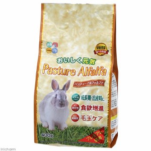 ハイペット　パスチャーアルファルファ　４００ｇ (ハムスター)