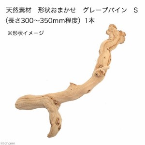 天然素材　ぶどうの木　形状お任せ　グレープバイン　Ｓ　（長さ３００〜３５０ｍｍ程度）　爬虫類　小動物