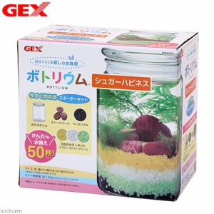 アウトレット品　ＧＥＸ　ボトリウム　シュガーハピネス　訳あり