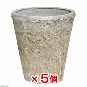 多肉植物　アンティークポット　直径１０×１１．５ｃｍ　黒　５個　モスポット　トール　コーデックス　アガベ　鉢