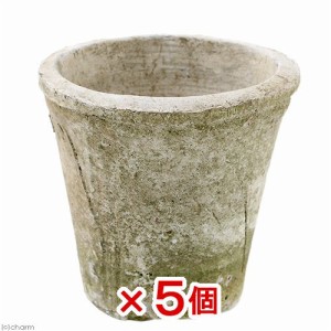 鉢　アンティークポット　直径１３×１３ｃｍ　白　モスポット　トール　多肉植物　コーデックス　アガベ　５個