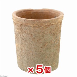 鉢　アンティークポット　直径１３×１４．５ｃｍ　赤　モスポット　シリンダー　多肉植物　コーデックス　アガベ　５個