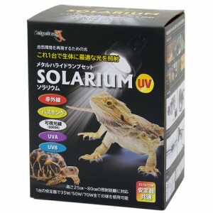 ペットペットゾーン　ソラリウム　５０Ｗ　ランプ、交換球、ソケットセット　爬虫類　ライト　紫外線