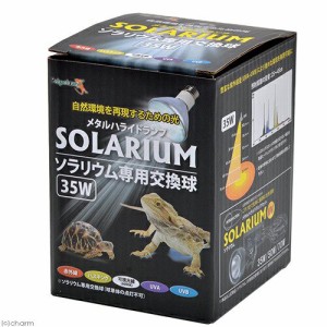 ペットペットゾーン　ソラリウム　３５Ｗ　交換球　爬虫類　ライト　紫外線