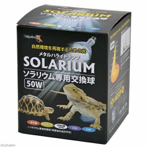 ペットペットゾーン　ソラリウム　５０Ｗ　交換球　メタルハライドランプ　紫外線（ＵＶＡ、ＵＶＢ）　爬虫類　ライト