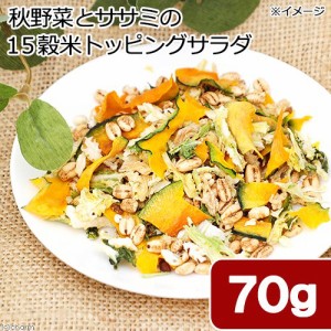 国産　秋野菜とササミの１５穀米トッピングサラダ　７０ｇ　犬用副菜　ＰａｃｋｕｎｘＣＯＣＯＡ　フルーツ＆ベジ ドッグフード