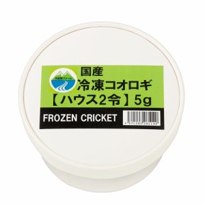 冷凍★ハウスクリケット　２令　５ｇ　月夜野ファーム　別途クール手数料　常温商品同梱不可