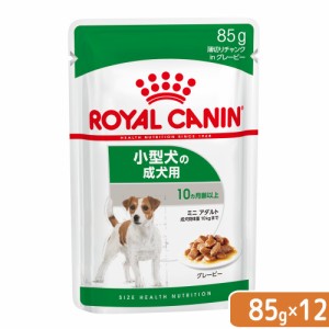 ロイヤルカナン 犬用 ドッグフード　小型犬の成犬用　ミニ　アダルト　生後１０ヵ月齢以上　８５ｇ×１２袋　パウチ　（ドッグフード　ウ