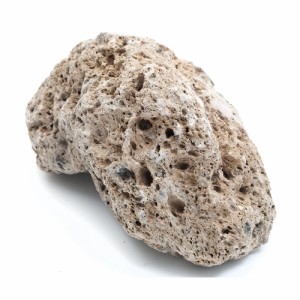 形状おまかせ　加工しやすい　浮石　Ｌ　１個　軽石　盆栽　テラリウム　パルダリウム