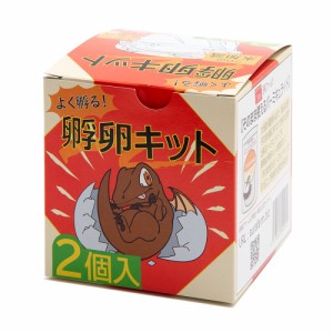 よく孵る！孵卵キット　２個入り