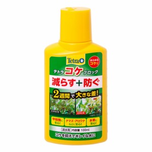 テトラ　コケブロック　１００ｍｌ　コケ　予防　減らす　抑制